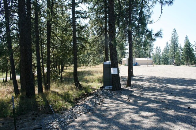 5203 Olinger Rd, Springdale, WA 99173 - photo 3