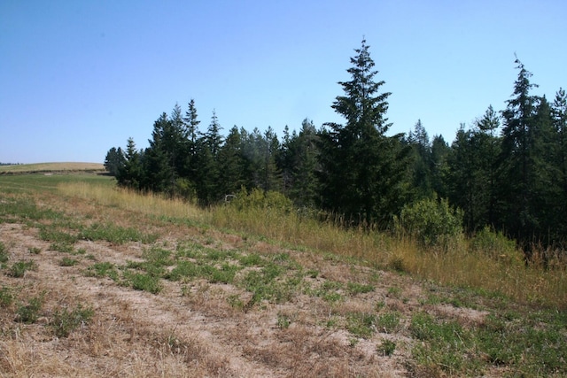5203 Olinger Rd, Springdale, WA 99173 - photo 14