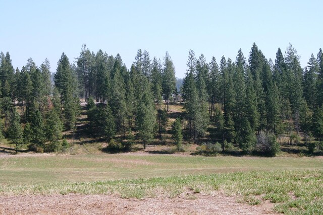 5203 Olinger Rd, Springdale, WA 99173 - photo 19