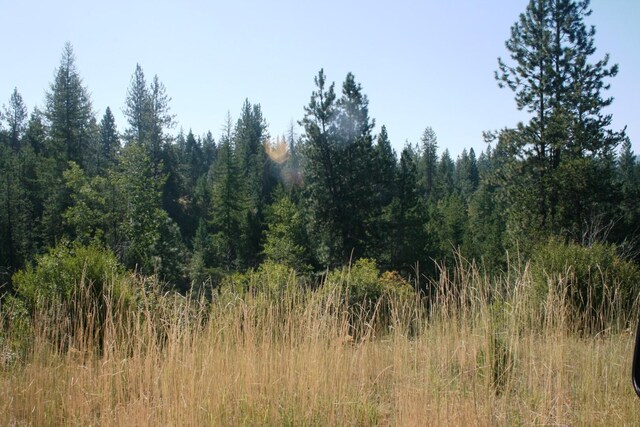 5203 Olinger Rd, Springdale, WA 99173 - photo 15