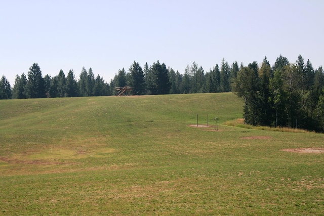 5203 Olinger Rd, Springdale, WA 99173 - photo 8