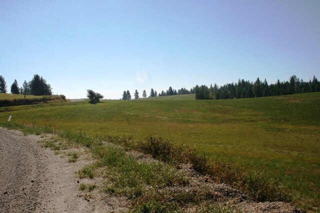 5203 Olinger Rd, Springdale, WA 99173 - photo 12