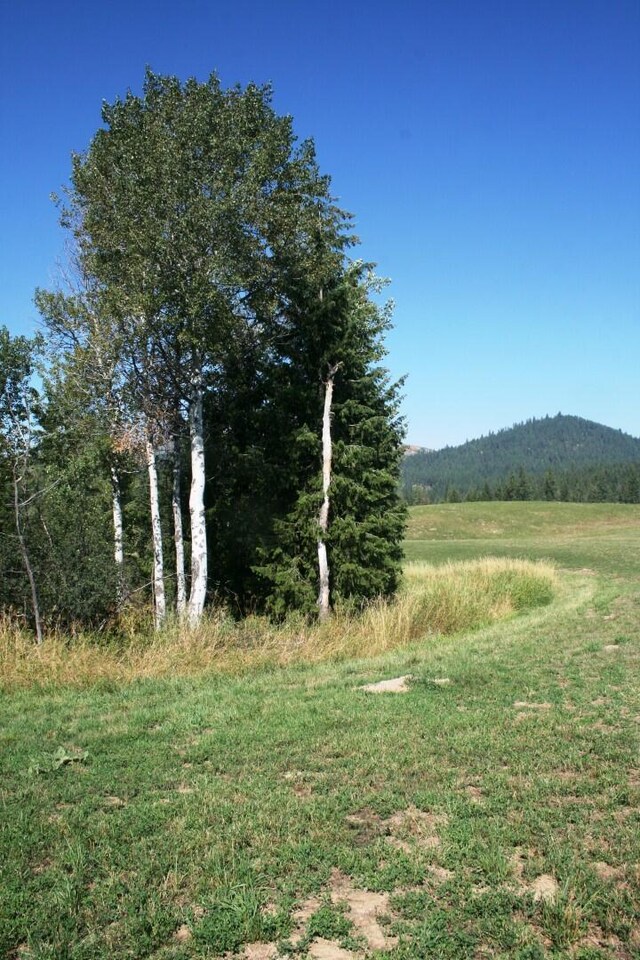 5203 Olinger Rd, Springdale, WA 99173 - photo 24