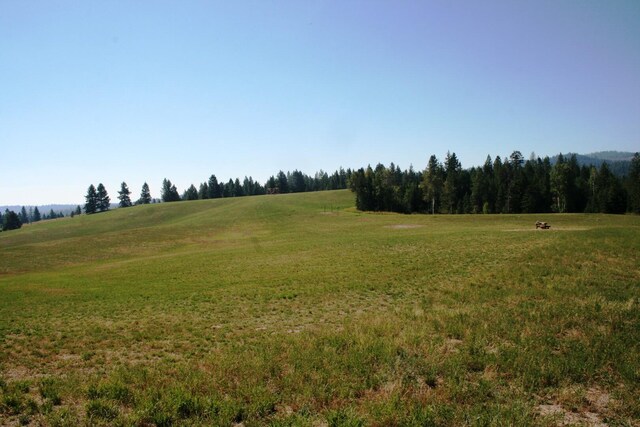 5203 Olinger Rd, Springdale, WA 99173 - photo 6