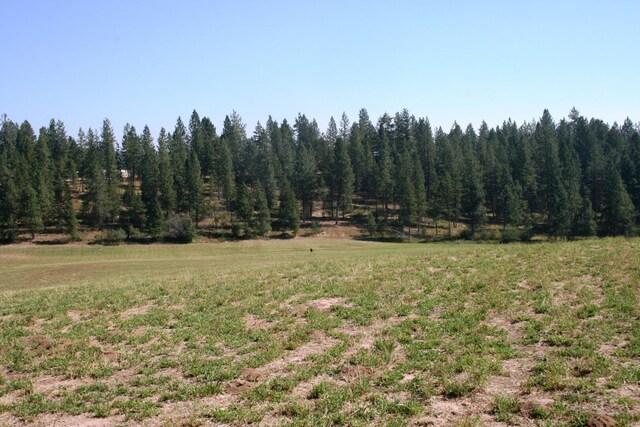5203 Olinger Rd, Springdale, WA 99173 - photo 21