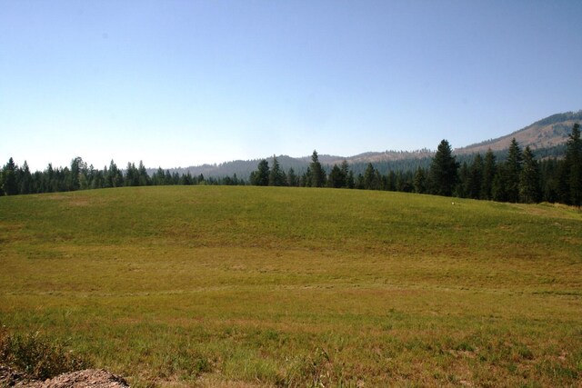 5203 Olinger Rd, Springdale, WA 99173 - photo 11