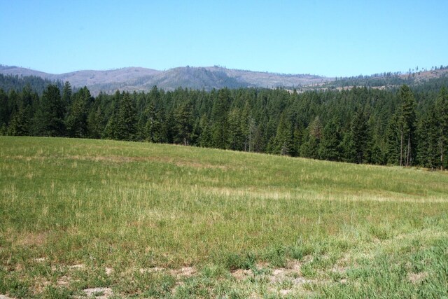 5203 Olinger Rd, Springdale, WA 99173 - photo 10