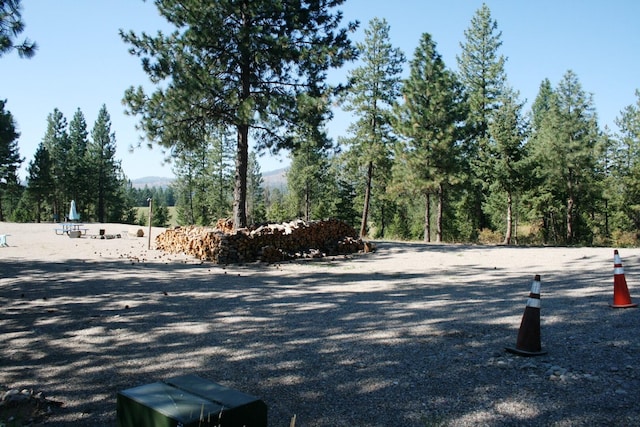 5203 Olinger Rd, Springdale, WA 99173 - photo 2