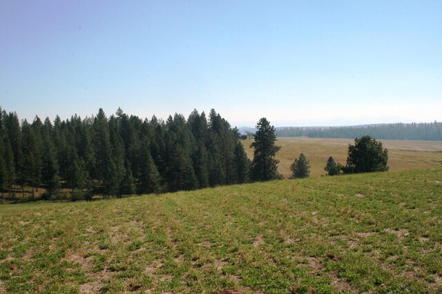 5203 Olinger Rd, Springdale, WA 99173 - photo 20