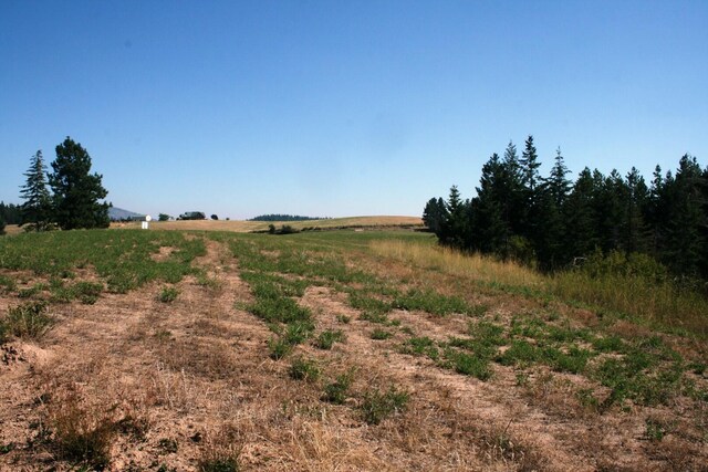 5203 Olinger Rd, Springdale, WA 99173 - photo 13