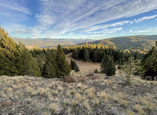 120 Hidden Valley Farms Rd, Republic, WA 99166 - photo 38