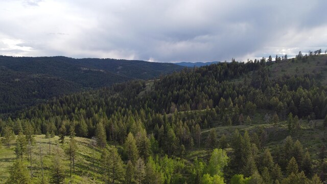 120 Hidden Valley Farms Rd, Republic, WA 99166 - photo 34