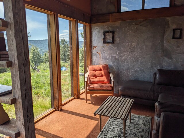 120 Hidden Valley Farms Rd, Republic, WA 99166 - photo 21