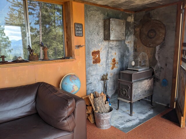 120 Hidden Valley Farms Rd, Republic, WA 99166 - photo 23