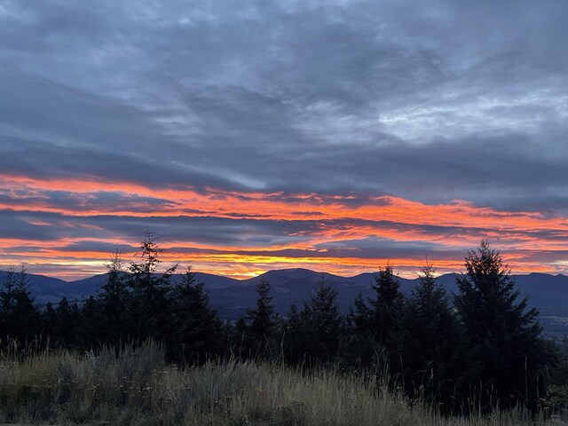 120 Hidden Valley Farms Rd, Republic, WA 99166 - photo 31