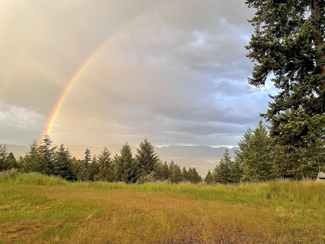 120 Hidden Valley Farms Rd, Republic, WA 99166 - photo 39