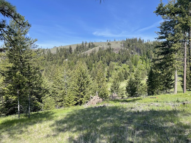 120 Hidden Valley Farms Rd, Republic, WA 99166 - photo 36