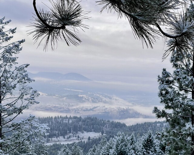 120 Hidden Valley Farms Rd, Republic, WA 99166 - photo 40
