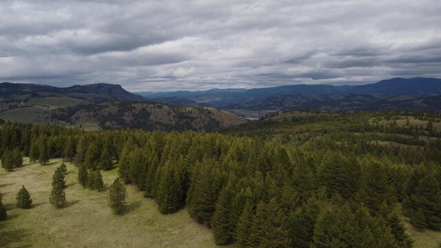120 Hidden Valley Farms Rd, Republic, WA 99166 - photo 32