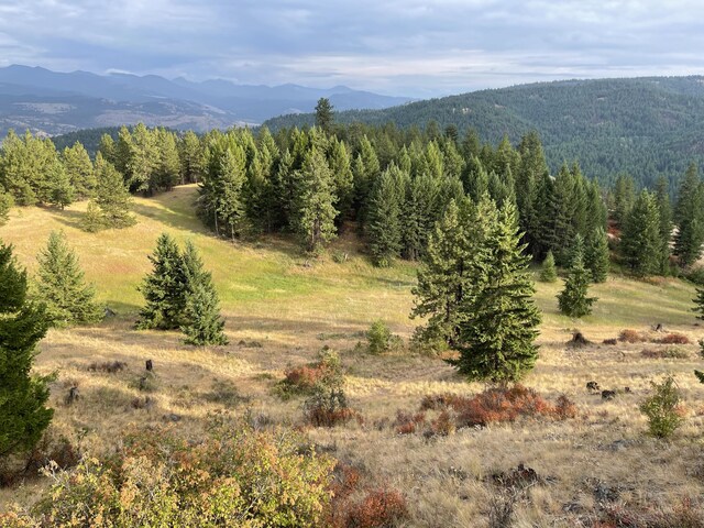 120 Hidden Valley Farms Rd, Republic, WA 99166 - photo 37
