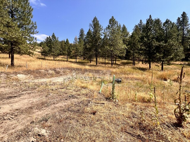 142 Art Creek Rd, Malo, WA 99150 - photo 35