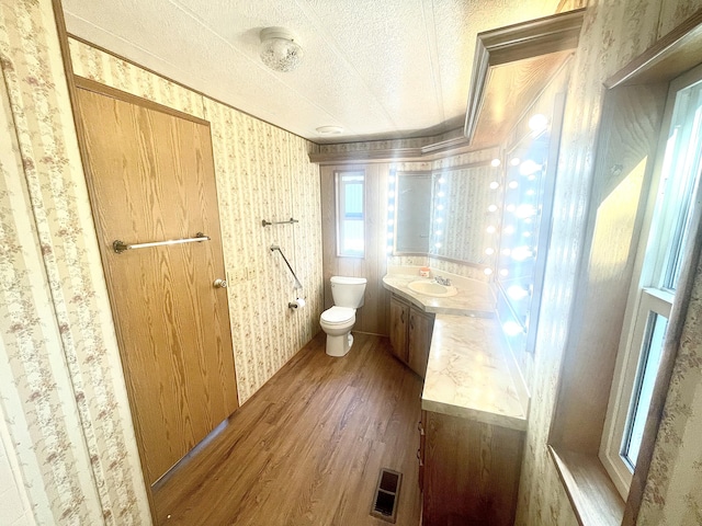 bathroom with vanity, toilet, and wood-type flooring