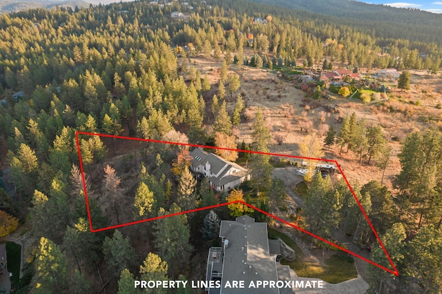 4203 S Suncrest Ln, Spokane Valley, WA 99037 - view of property location featuring a heavily wooded area and property parcel outlined