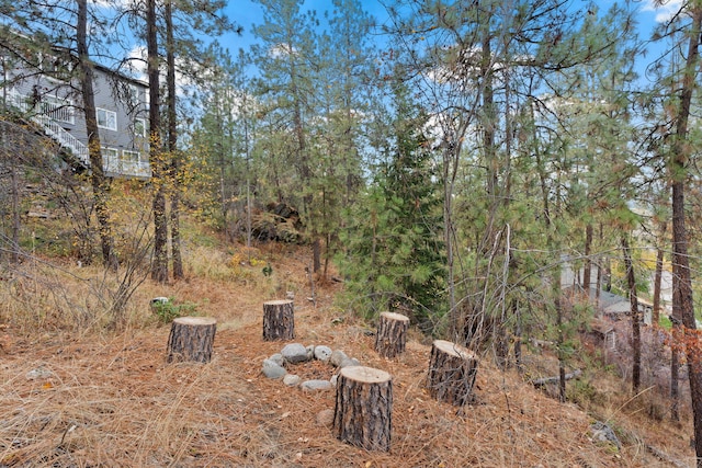 4203 S Suncrest Ln, Spokane Valley, WA 99037 - view of yard