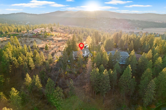 4203 S Suncrest Ln, Spokane Valley, WA 99037 - aerial overview of property's location featuring a mountain backdrop and a heavily wooded area