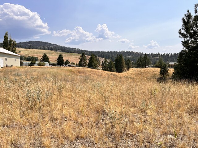 Listing photo 2 for TBD Sandpiper Way Lot 7, Republic WA 99166