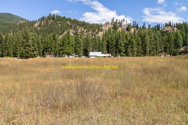 view of local wilderness with a mountain view