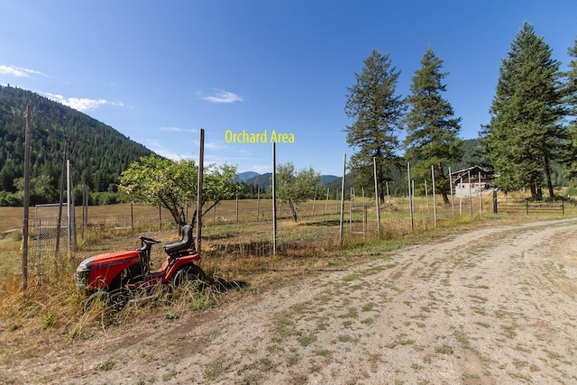 view of yard featuring a mountain view and a rural view