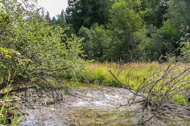 view of nature