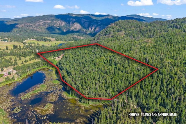 3465 Sand Creek Rd, Kettle Falls, WA 99141 - photo 2