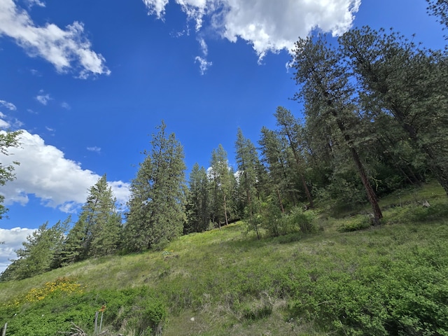 view of nature with a wooded view