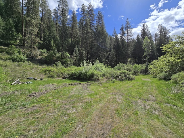 view of local wilderness with a view of trees