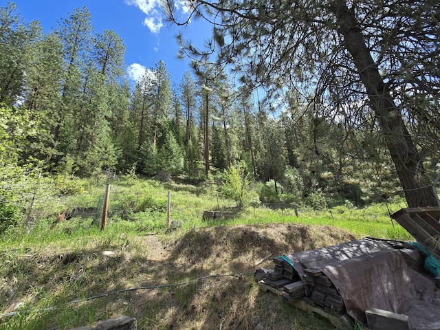 1612 Rickey Canyon Rd, Kettle Falls, WA 99141 - view of nature
