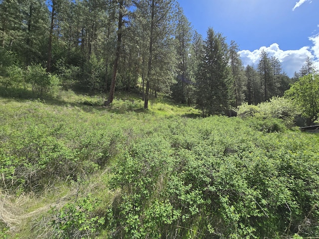 1612 Rickey Canyon Rd, Kettle Falls, WA 99141 - view of woods
