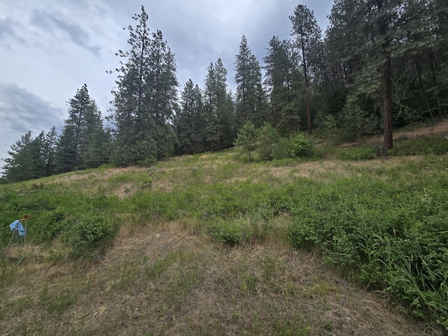 1612 Rickey Canyon Rd, Kettle Falls, WA 99141 - view of woods