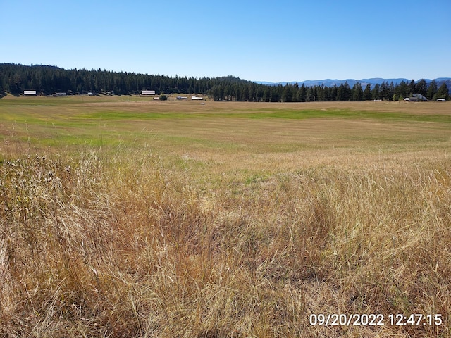 37 Old Ranch House Rd, Republic, WA 99166 - photo 11