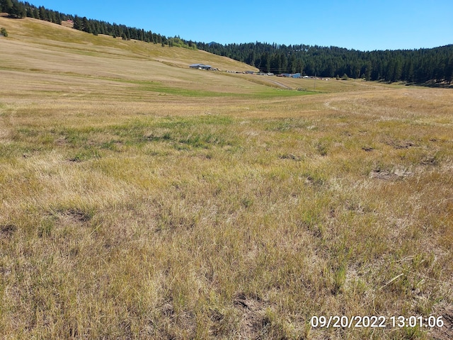 37 Old Ranch House Rd, Republic, WA 99166 - photo 21