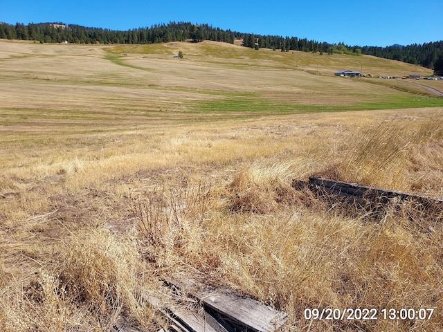 37 Old Ranch House Rd, Republic, WA 99166 - photo 20