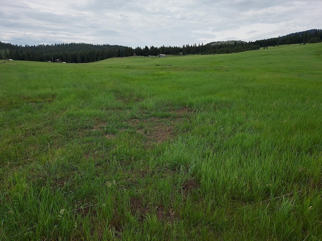 37 Old Ranch House Rd, Republic, WA 99166 - photo 1