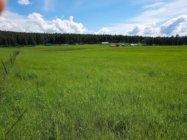 37 Old Ranch House Rd, Republic, WA 99166 - photo 28