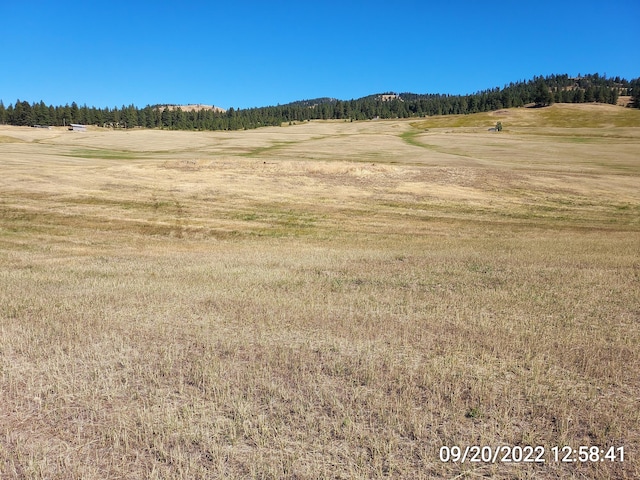 37 Old Ranch House Rd, Republic, WA 99166 - photo 18