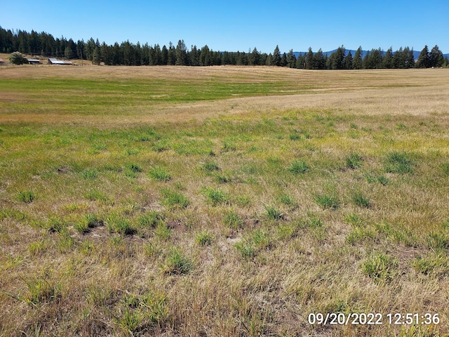 37 Old Ranch House Rd, Republic, WA 99166 - photo 15