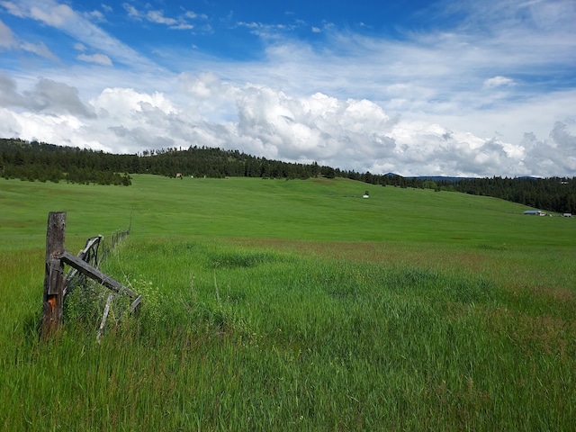 37 Old Ranch House Rd, Republic, WA 99166 - photo 25