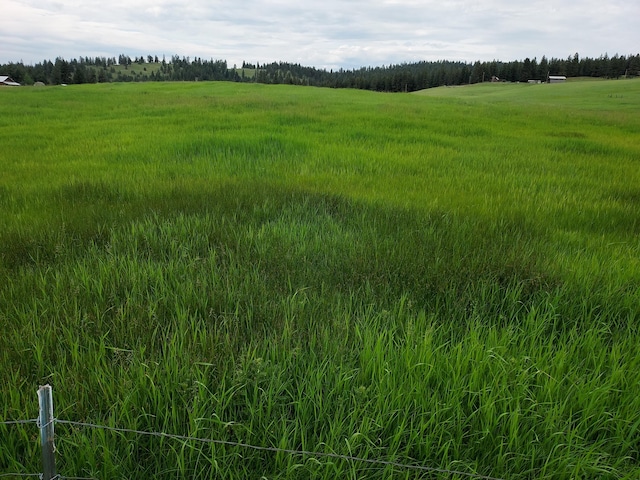 37 Old Ranch House Rd, Republic, WA 99166 - photo 2