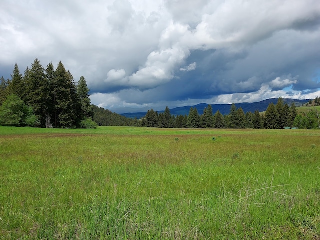 37 Old Ranch House Rd, Republic, WA 99166 - photo 23
