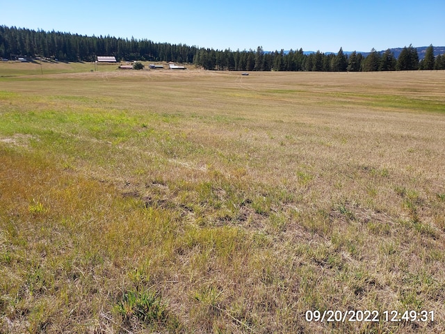 37 Old Ranch House Rd, Republic, WA 99166 - photo 13